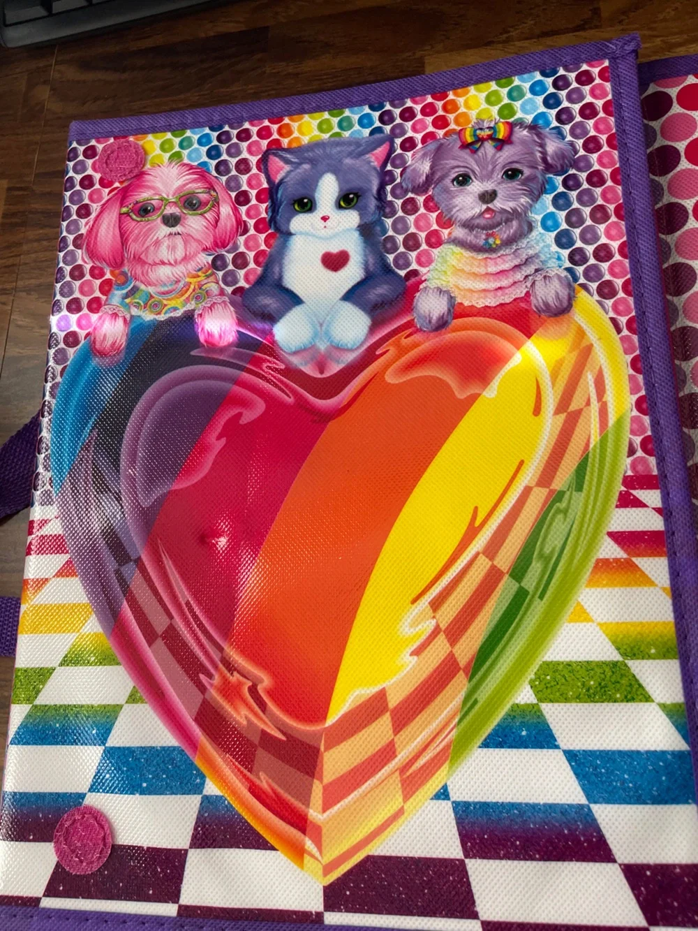 Lisa Frank Storage Case